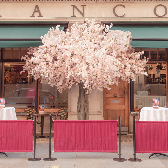 wedding-blossom-trees